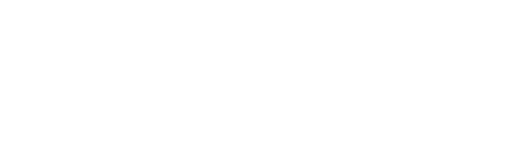 Swiss Institute of Artificial Intelligence